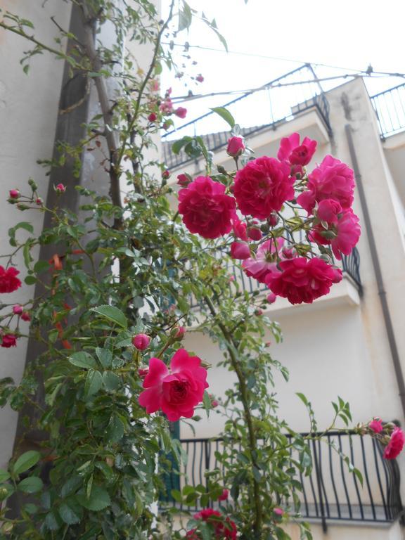 Canton Delle Rose Διαμέρισμα Scicli Εξωτερικό φωτογραφία